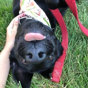 Meet your Posher, Mia